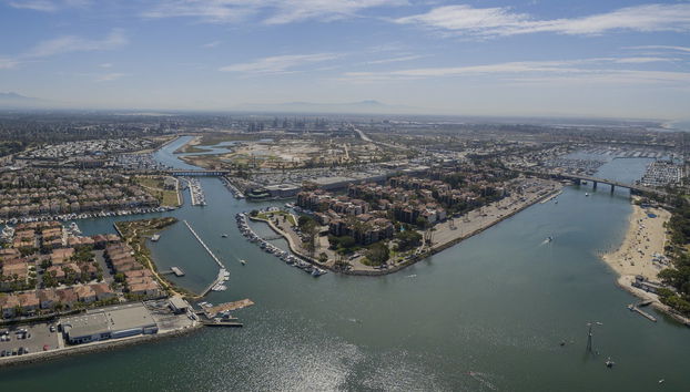 Kayak con leones marinos en Marina del Rey - Foto 5