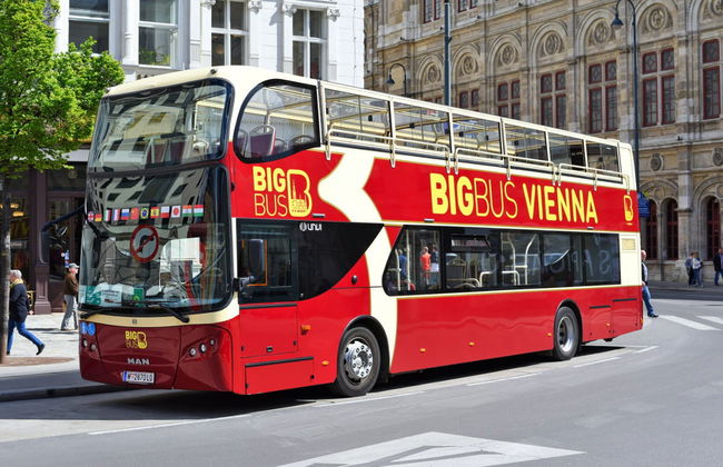 Autobus turistico di Vienna, Big Bus - Foto 4