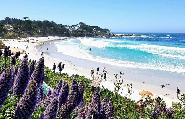 Excursión privada desde San Francisco - Foto 1