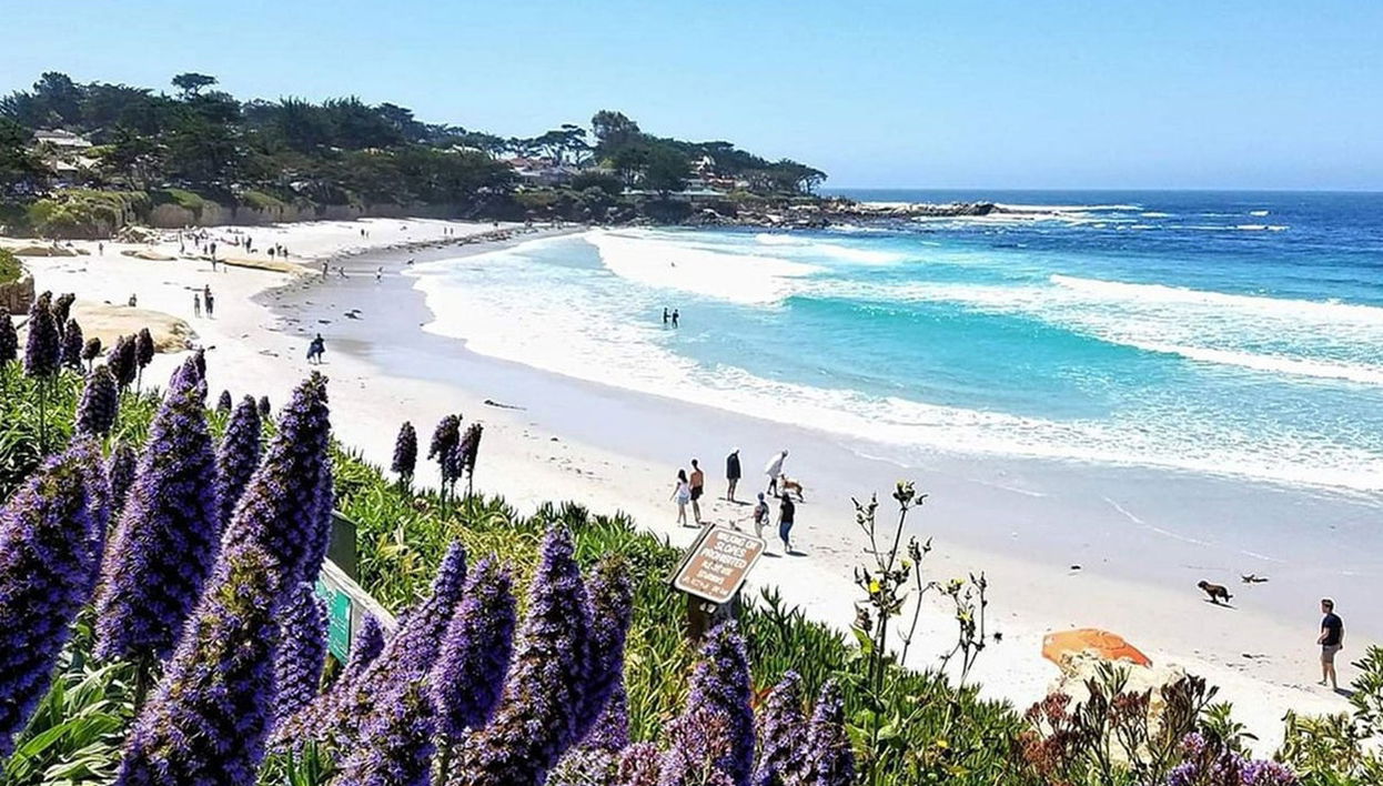 Excursión privada desde San Francisco - Foto 1