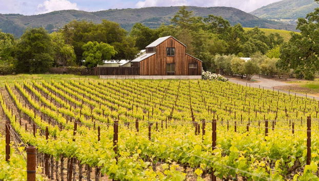 Excursión privada desde San Francisco - Foto 4