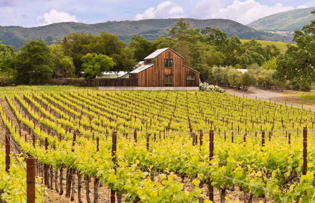 Excursión privada desde San Francisco - Foto 4