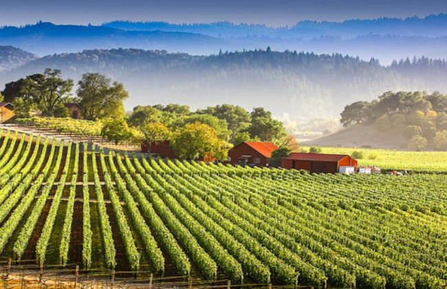 Excursión privada desde San Francisco - Foto 6