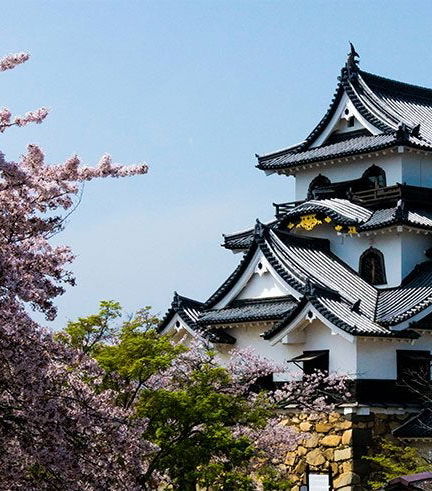 Foto de Excursión privada a Osaka