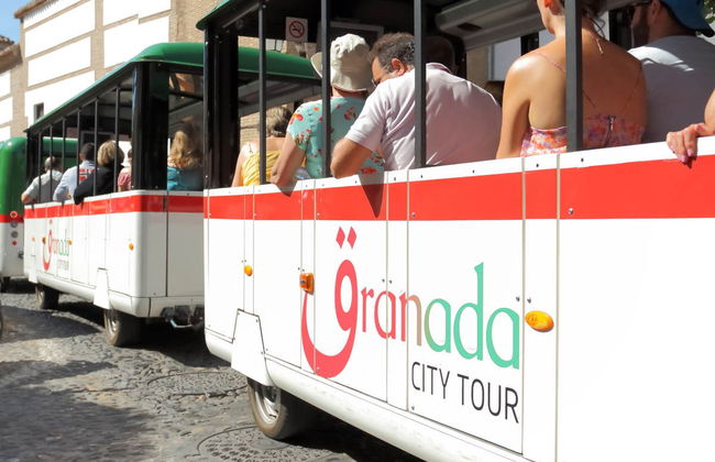 Visite guidée de l'Alhambra et des Palais Nasrides + Granada City Pass - Photo 6