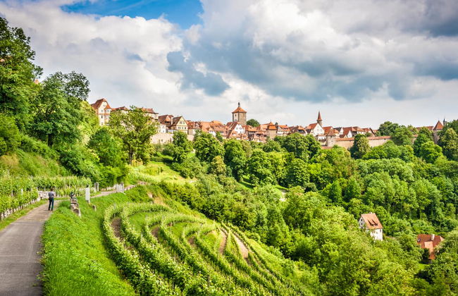 Excursão ao castelo de Harburg e Rotemburgo - Foto 4