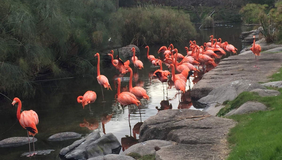 Day Trip to Temaiken Zoo - Photo 1