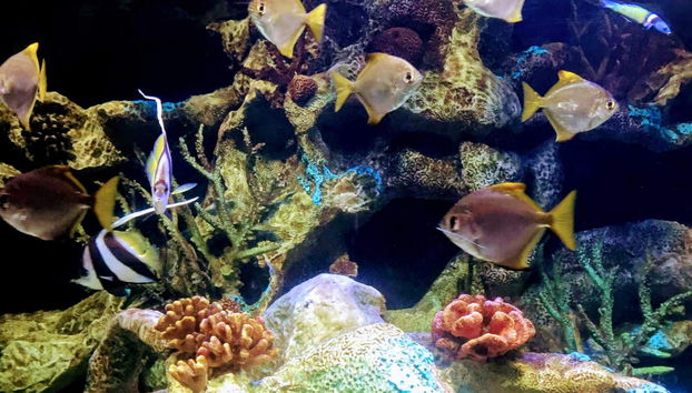 Day Trip to Temaiken Zoo - Photo 2