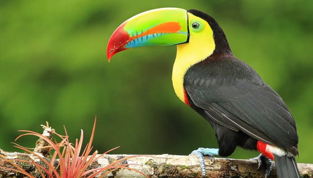 Day Trip to Temaiken Zoo - Photo 4