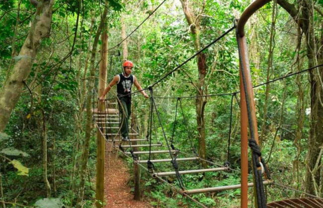 Tour de aventura en Jungle Fly - Foto 5