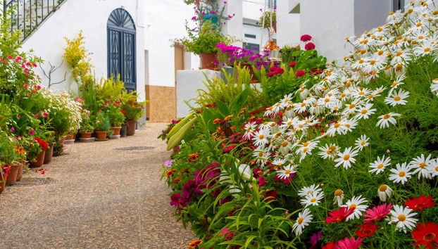 Vejer & Conil de la Frontera Day Trip - Photo 5