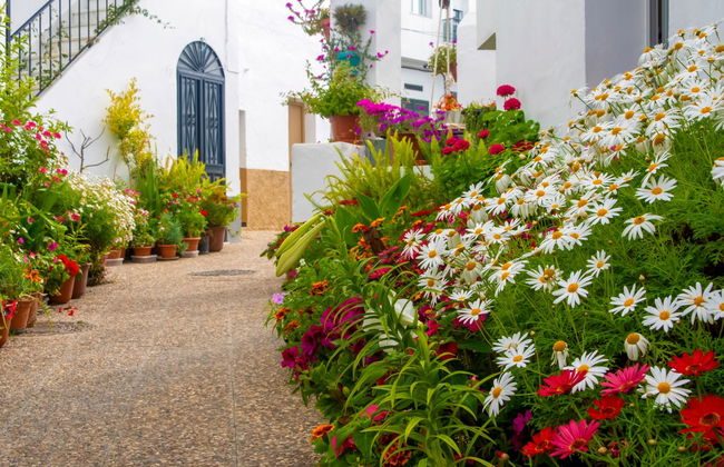 Vejer & Conil de la Frontera Day Trip - Foto 4