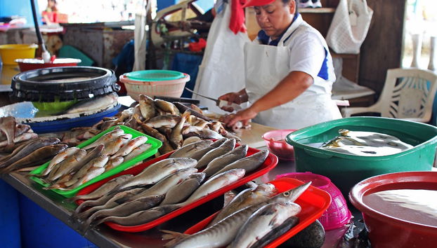Tour del mercato di Chorrillos + Laboratorio di cucina peruviana - Foto 3
