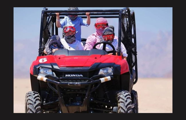 Tour en quad y safari por el desierto - Foto 7