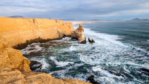 Îles Ballestas + Réserve Nationale de Paracas - Photo 2