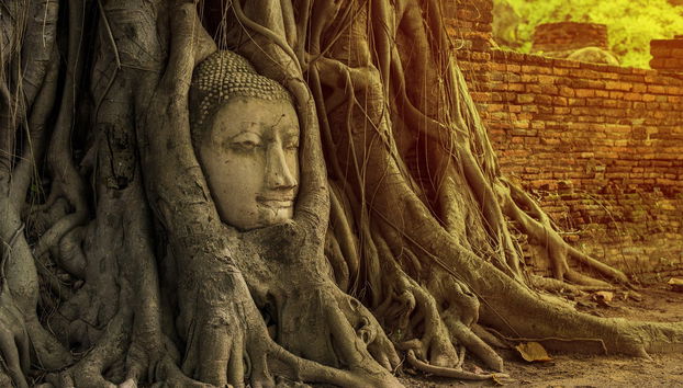 Excursión privada desde Bangkok - Foto 3