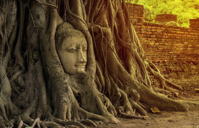 Excursion privée depuis Bangkok - Photo 3