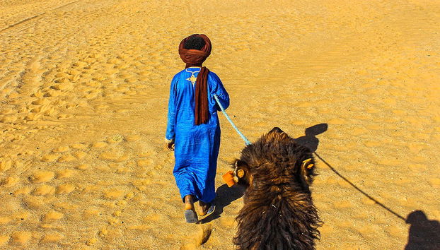 Escursione privata nel deserto - Foto 2