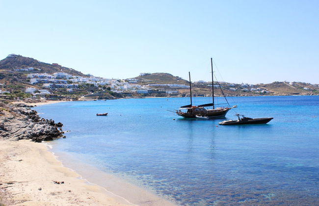 Mykonos, Ano Mera & Farm Tour - Foto 3