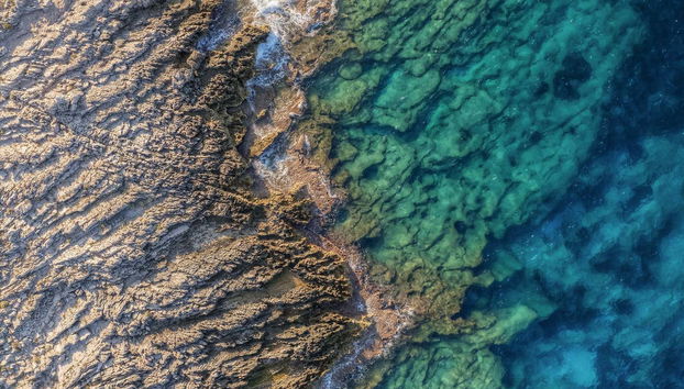 Palermo Coast Sailing & Snorkeling Experience - Foto 4