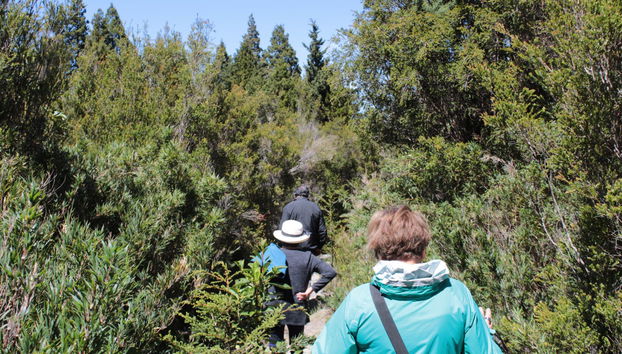Alerce Costero National Park Day Trip - Photo 5