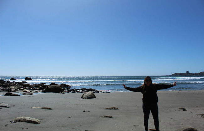 Excursión al Parque Nacional Alerce Costero - Foto 5