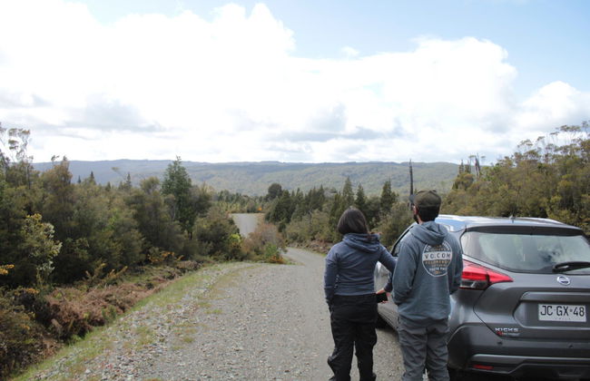 Excursión al Parque Nacional Alerce Costero - Foto 2