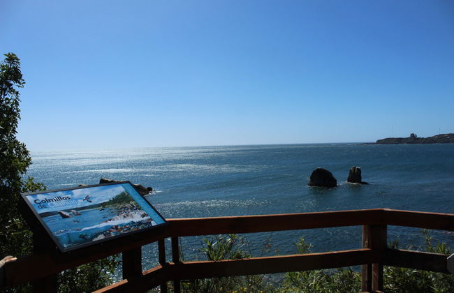 Excursión al Parque Nacional Alerce Costero - Foto 7