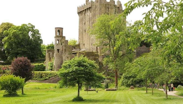 Visita guiada pelo castelo de Blarney - Foto 2