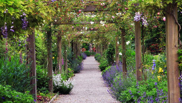 Visita guiada pelo castelo de Blarney - Foto 3