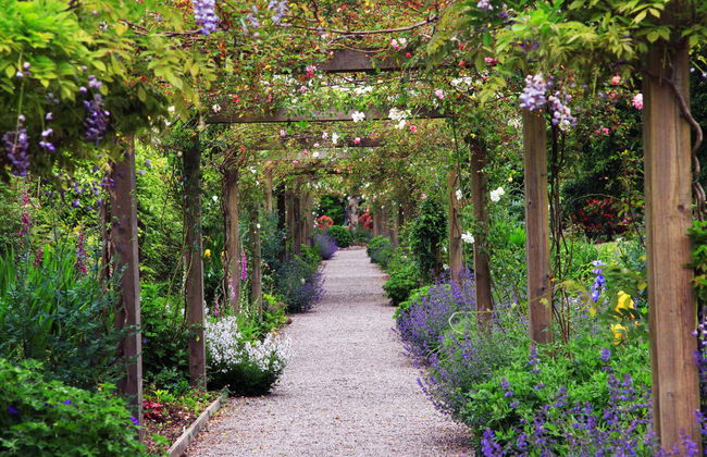 Visita guiada por el castillo de Blarney - Foto 3