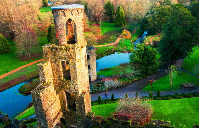 Visita guiada por el castillo de Blarney - Foto 1