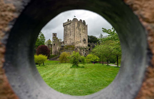 Visita guiada por el castillo de Blarney - Foto 6