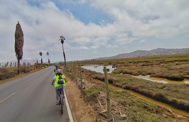 Tour de bicicleta por Miraflores e Baranco + Visita a Los Pantanos de Villa - Foto 5