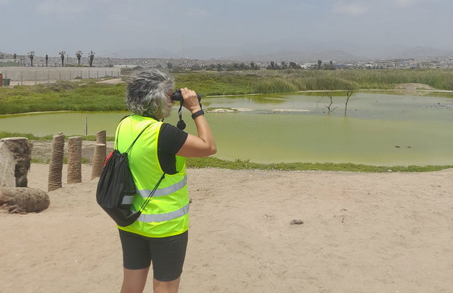 Tour de bicicleta por Miraflores e Baranco + Visita a Los Pantanos de Villa - Foto 7