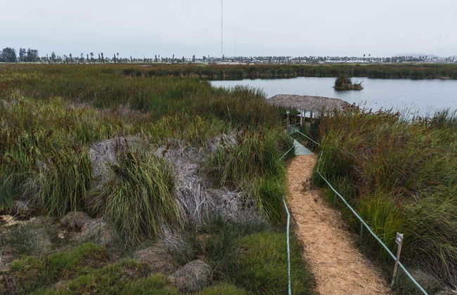 Balade à vélo à travers Miraflores et Barranco + Visite de Los Pantanos de Villa - Photo 1
