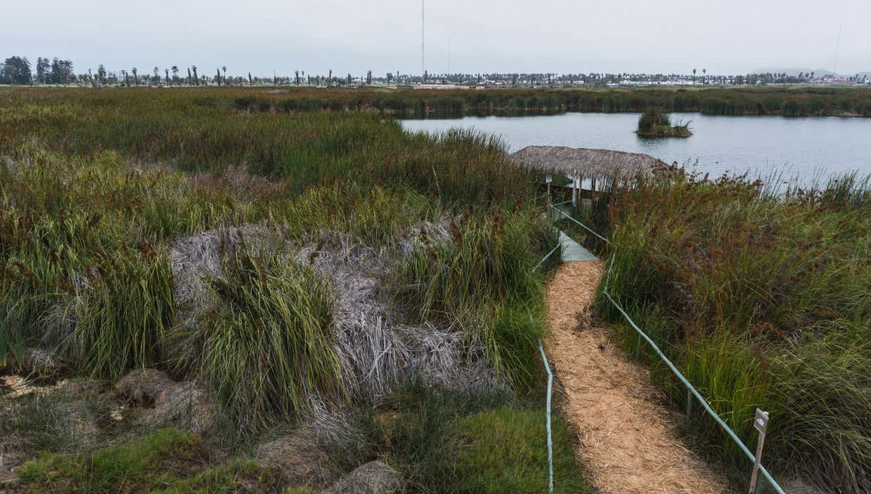 Balade à vélo à travers Miraflores et Barranco + Visite de Los Pantanos de Villa - Photo 1