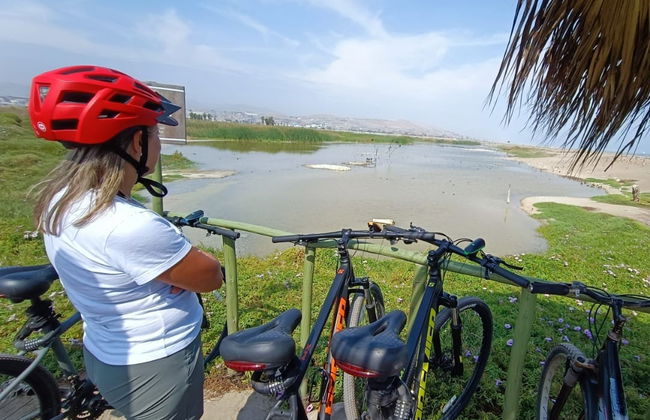 Tour de bicicleta por Miraflores e Baranco + Visita a Los Pantanos de Villa - Foto 3