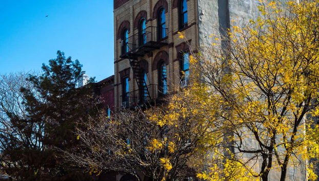 Bushwick + Williamsburg Walking Tour - Foto 4