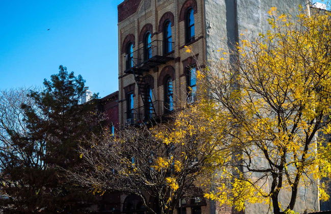 Bushwick + Williamsburg Walking Tour - Foto 4