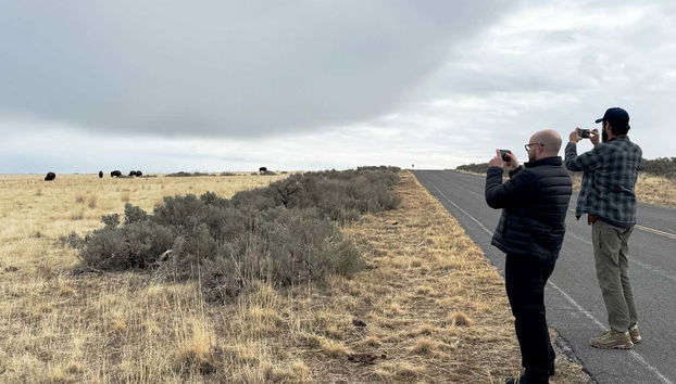 Antelope Island Tour - Photo 2