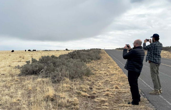 Antelope Island Tour - Foto 2