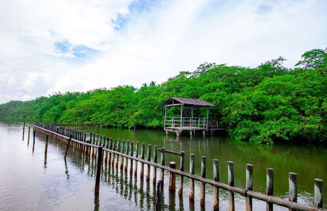 Excursão a São Miguel dos Milagres - Foto 9