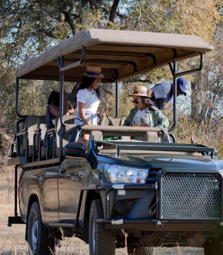 Foto de Una auténtica experiencia de safari en el Parque Nacional Zambezi con comida incluida