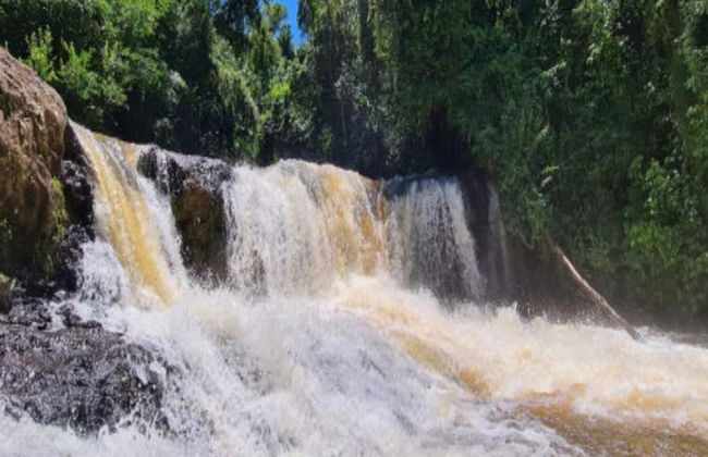 Cascate Segrete di Iguazú - Tour di mezza giornata - Foto 7