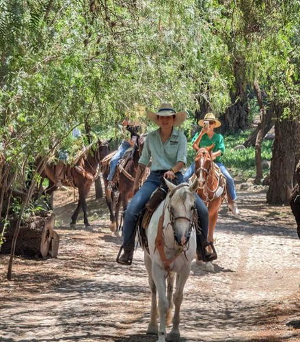 Foto de Disfruta de un paseo único a caballo por el viñedo con cata de vinos