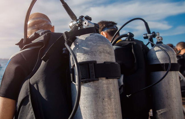 Immersione per principianti nella riserva marina di Portovenere - Foto 1
