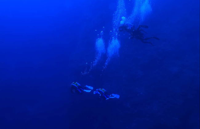 Immersione per principianti nella riserva marina di Portovenere - Foto 3