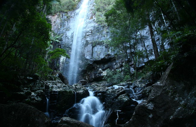 Experiencia Hinterland Magic y Glow-worm - Foto 4