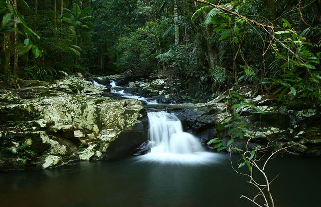 Experiencia Hinterland Magic y Glow-worm - Foto 2